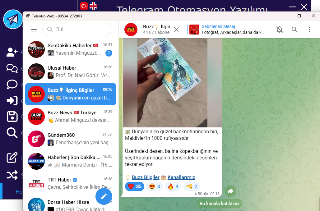 Telentro Web